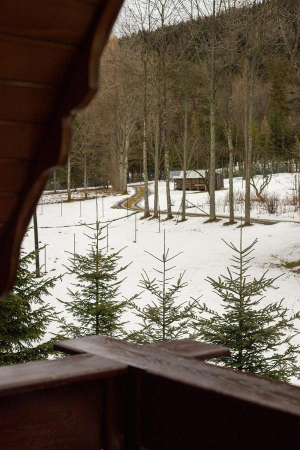 Golden Apartments Zakopane- One Bedroom Apartment - Mountain View&B14 מראה חיצוני תמונה